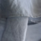 �A�C�e���C���[�W