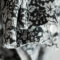 �A�C�e���C���[�W