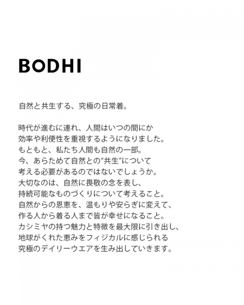 BODHI ボーディ カシミヤ ウール ブラシ “KENT FOR BODHI