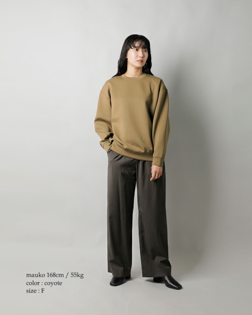 DAIWA PIER39 スウェット DAIWA PIER39 TECH SWEAT CREW FREEDOM SLEEVE（スウェット