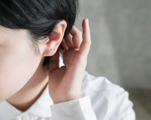 noguchi BIJOUX ノグチローズカットホワイトダイヤピアス nn383 noguchi BIJOUX ノグチローズカットホワイトダイヤピアス nn383