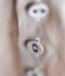 ACeC[W