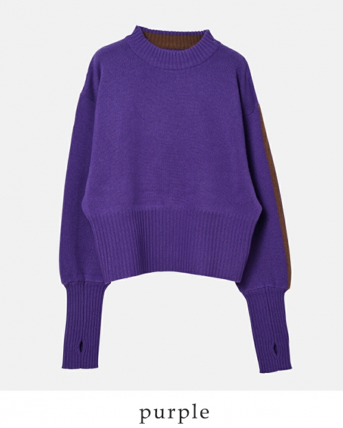 whyto ホワイト メリノウール カシミヤ スリーブ ライン ニット